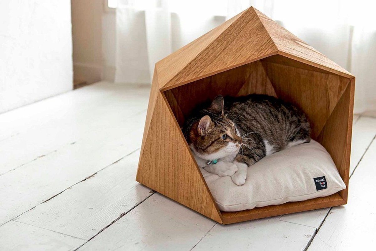 Дом для кошки: пусть у зверя тоже будет своё личное пространство
