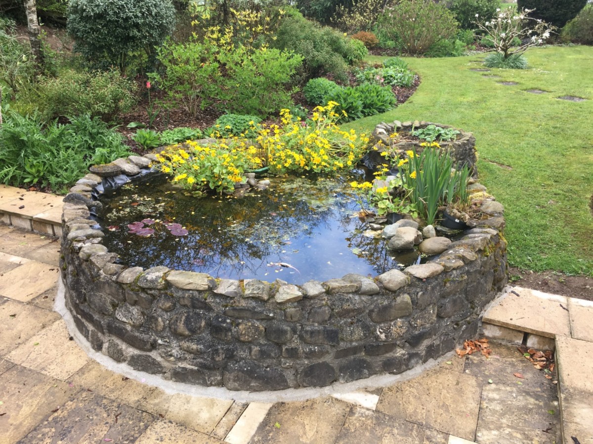 Фонтан, дачный пруд или декоративный ручей: как украсить сад — Roomble.com